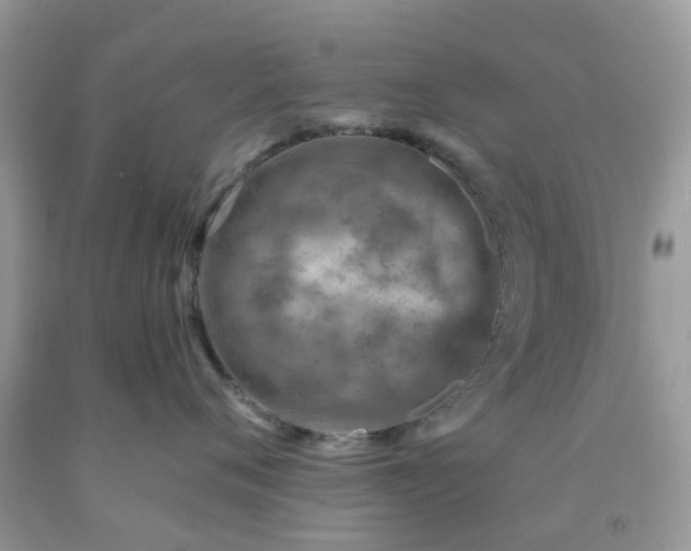 X0000091690720200709061125