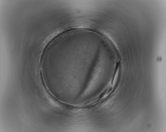 X0000091690721200709061124