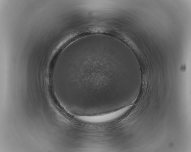 X0000091690722200709061124