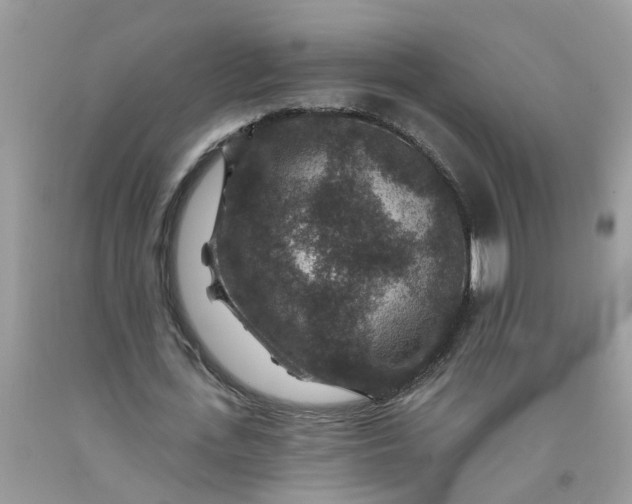 X0000091690723200709061124