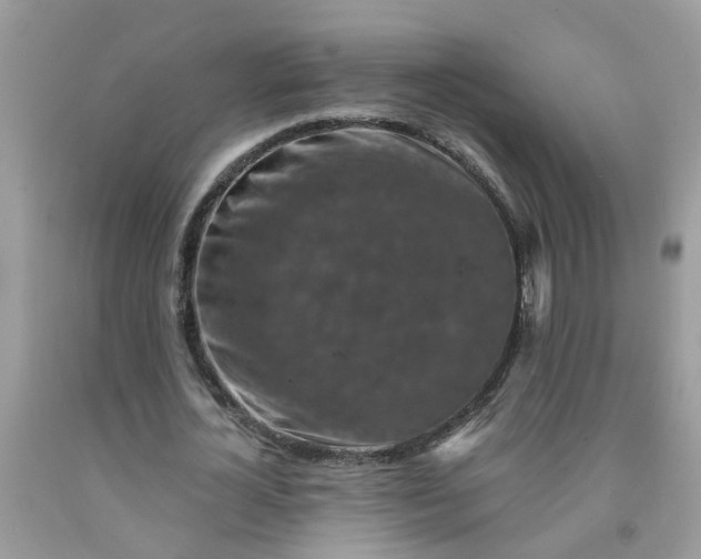 X0000091690724200709061124