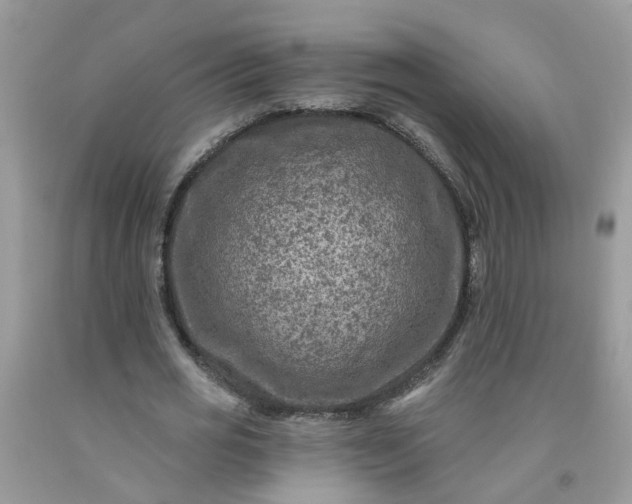 X0000091690725200709061124