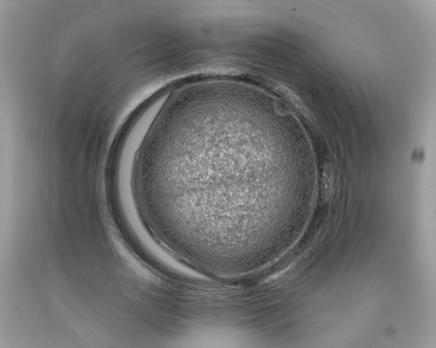 X0000091690726200709061124