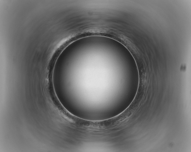 X0000091690727200709061124