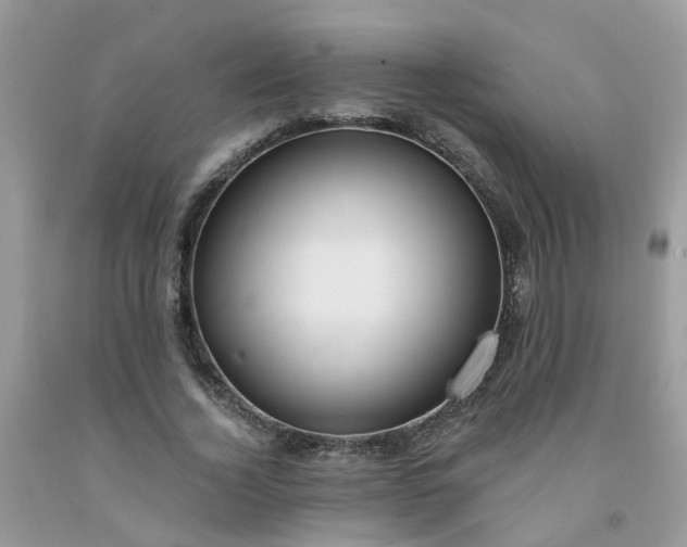 X0000091690732200709061124