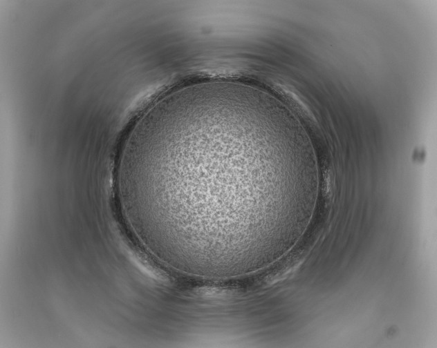 X0000091690733200709061124