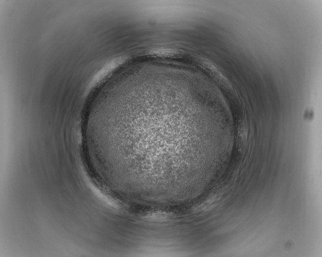 X0000091690734200709061124