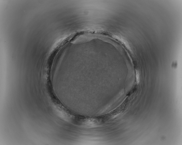 X0000091690736200709061124