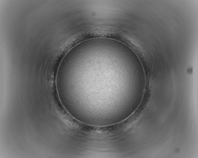 X0000091690737200709061124