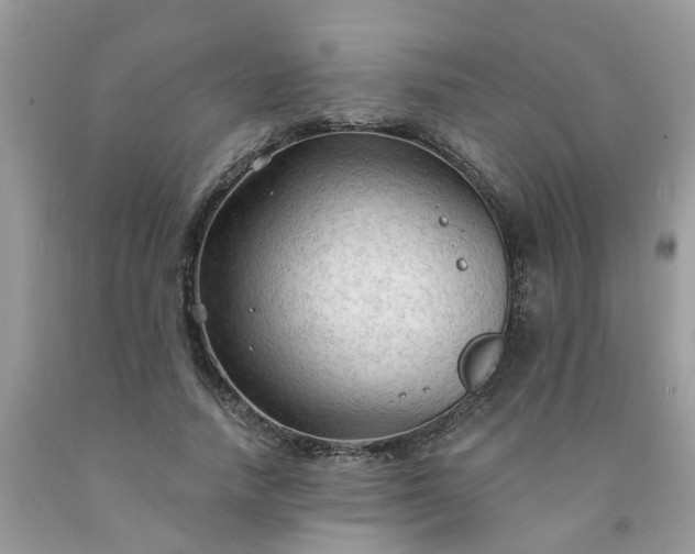 X0000091690738200709061124