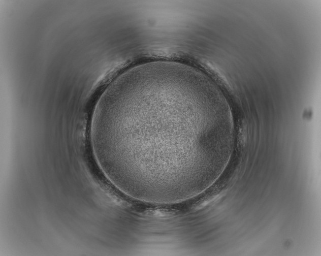 X0000091690739200709061124