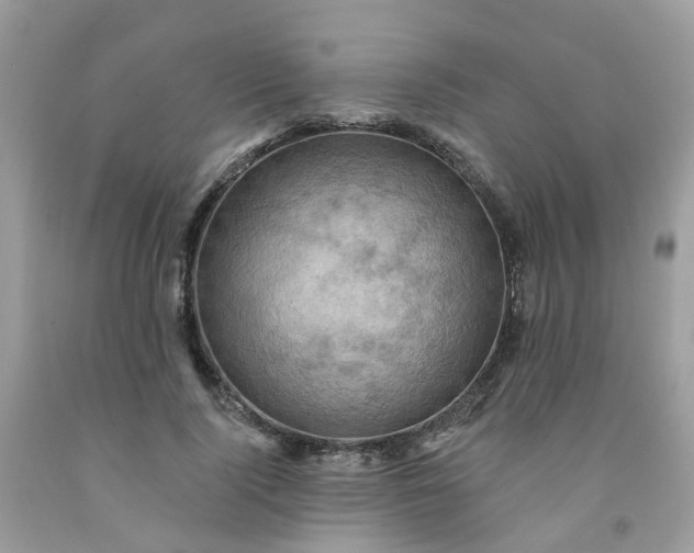 X0000091690740200709061124