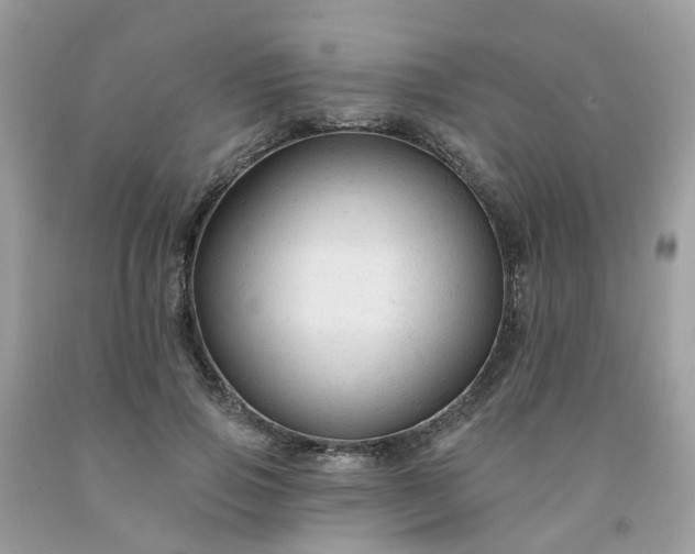 X0000091690741200709061124