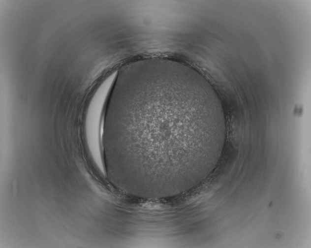 X0000091690742200709061124