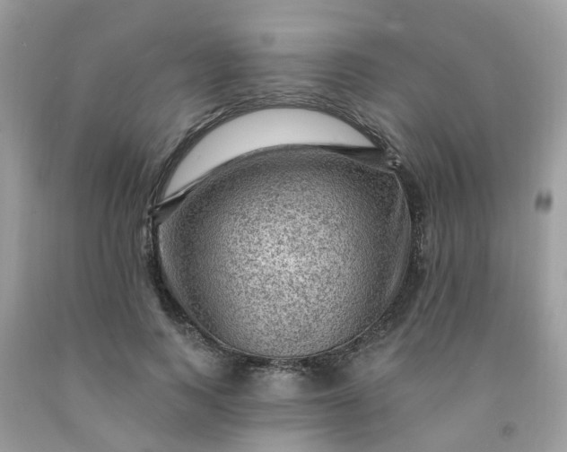 X0000091690743200709061124