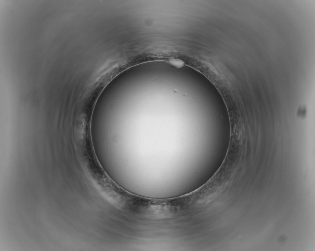 X0000091690744200709061124