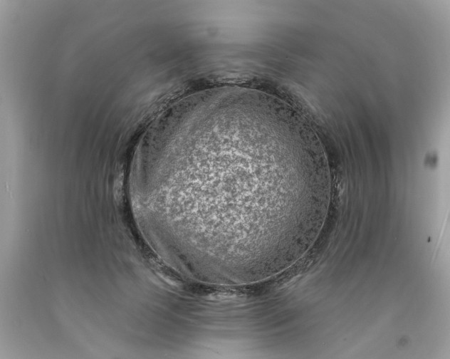 X0000091690745200709061124