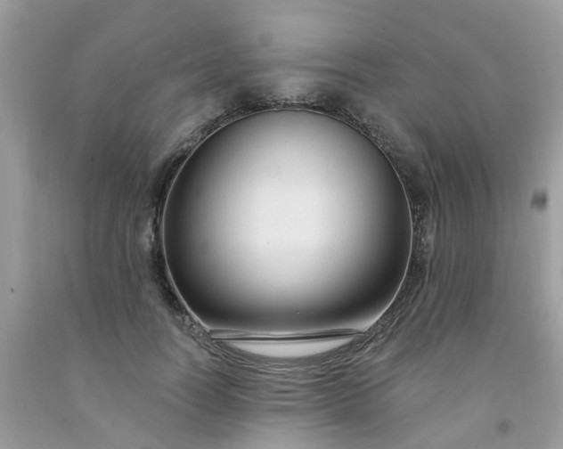 X0000091690746200709061124