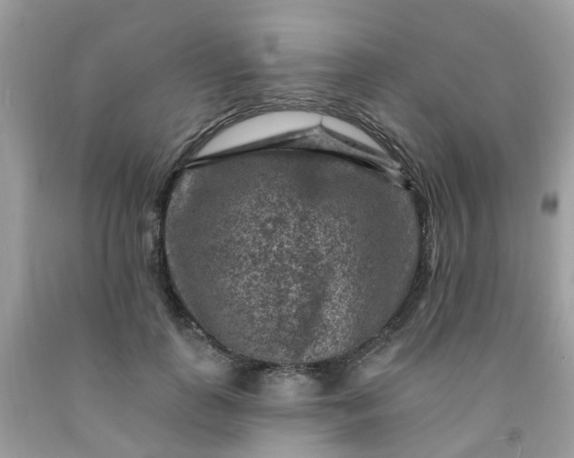 X0000091690747200709061124