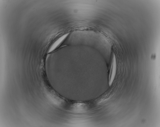 X0000091690748200709061124