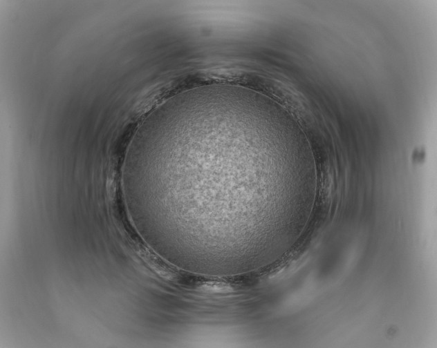 X0000091690749200709061125