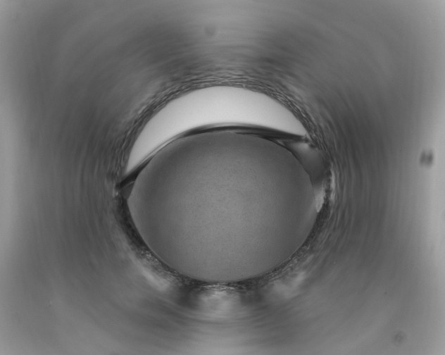 X0000091690750200709061125