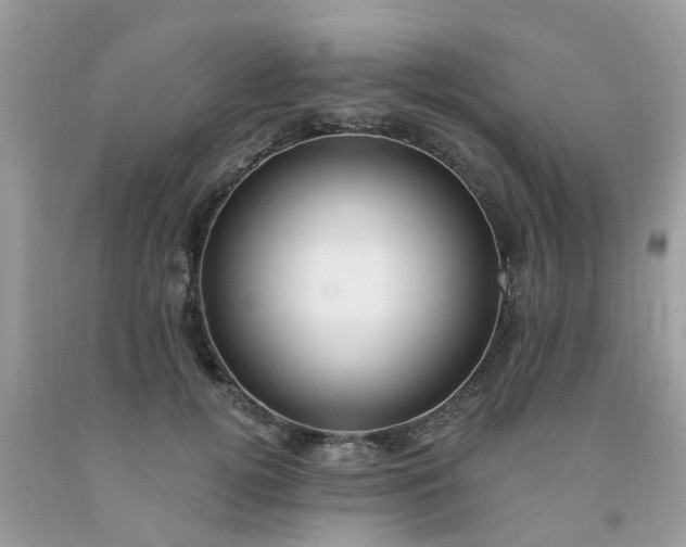 X0000091690752200709061125