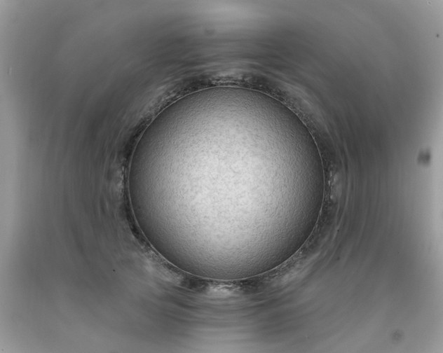 X0000091690753200709061125