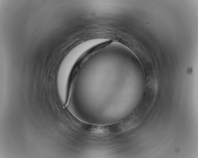 X0000091690754200709061125