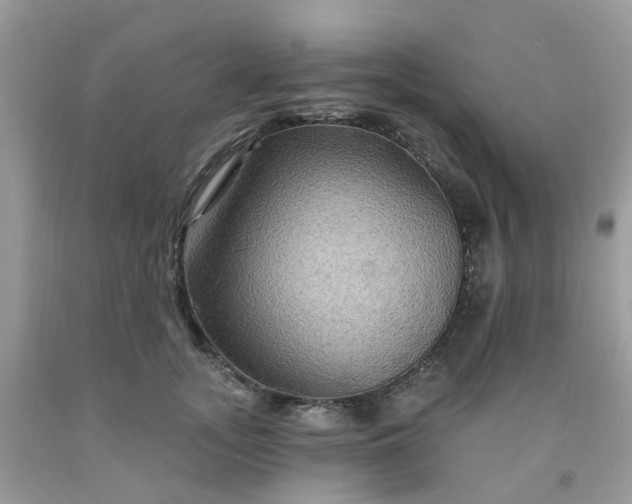 X0000091690755200709061125