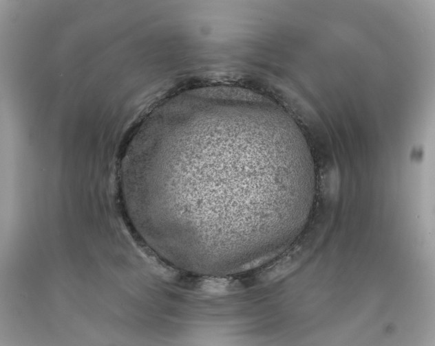 X0000091690757200709061125