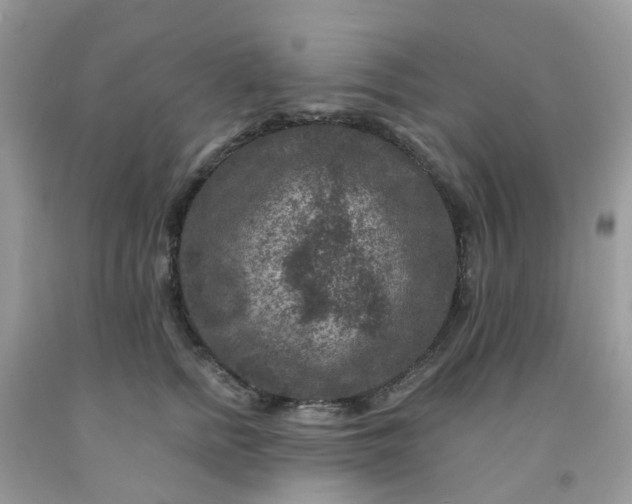 X0000091690758200709061125