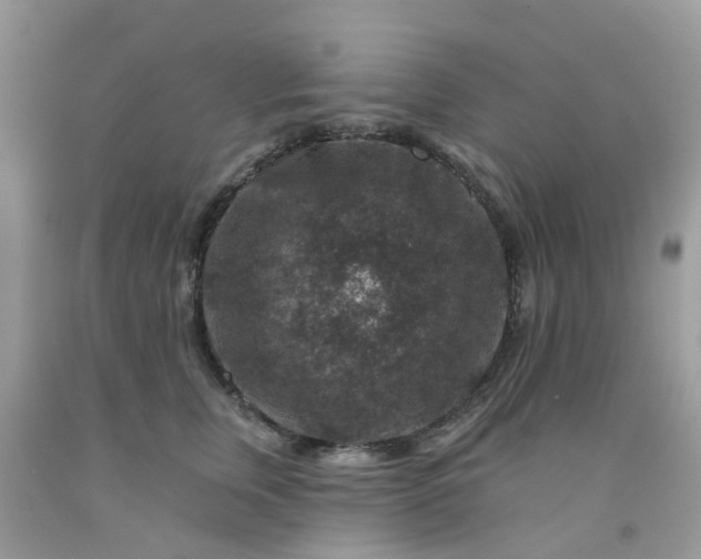 X0000091690759200709061125