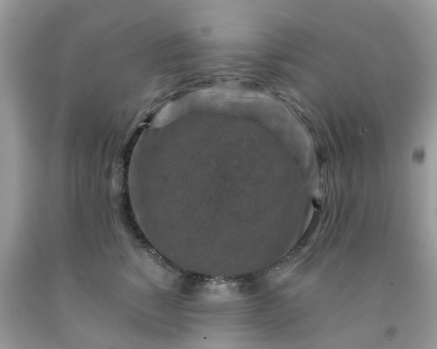 X0000091690760200709061125