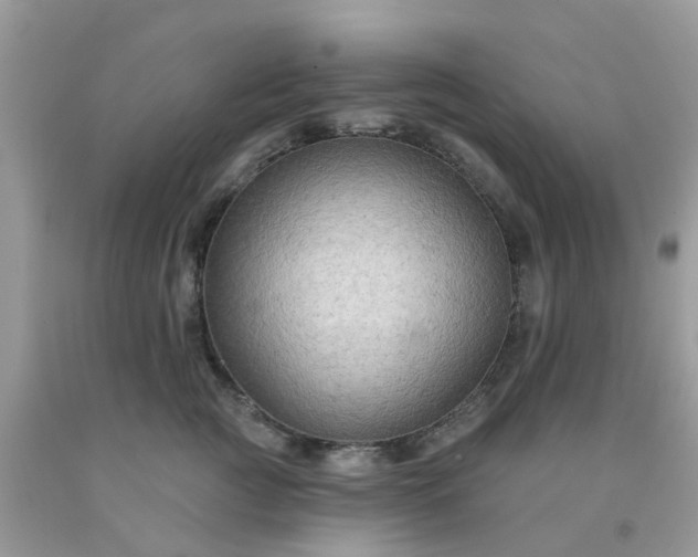 X0000091690761200709061125