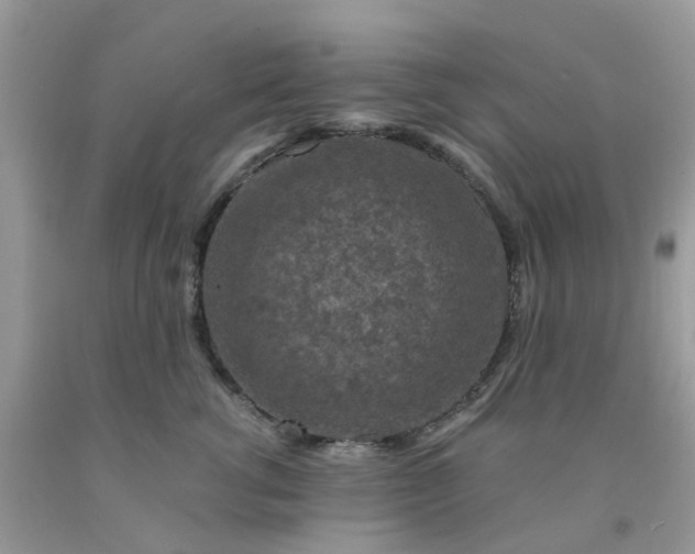 X0000091690762200709061125