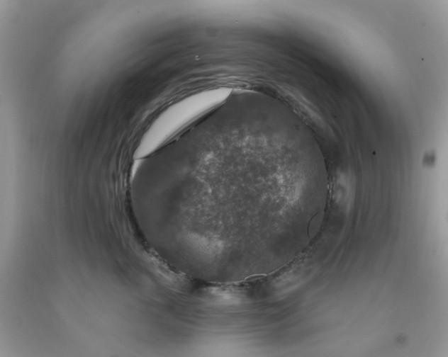 X0000091690763200709061125