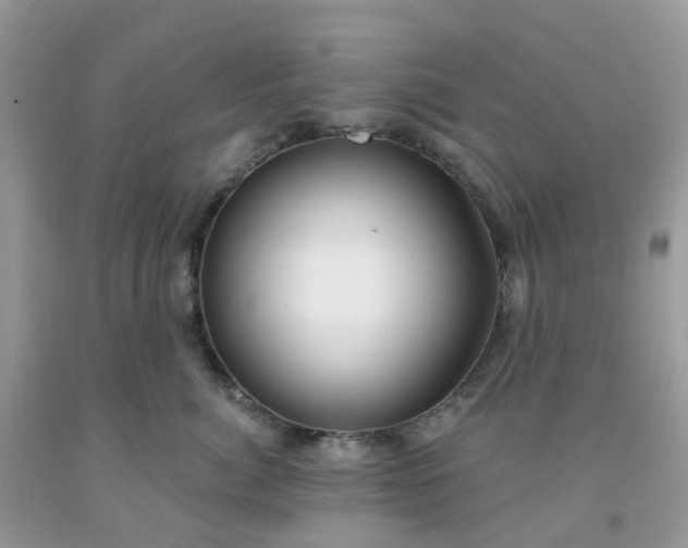 X0000091690764200709061125