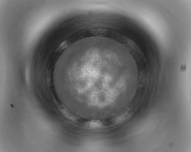 X0000091690765200709061125