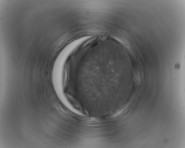 X0000091690766200709061125