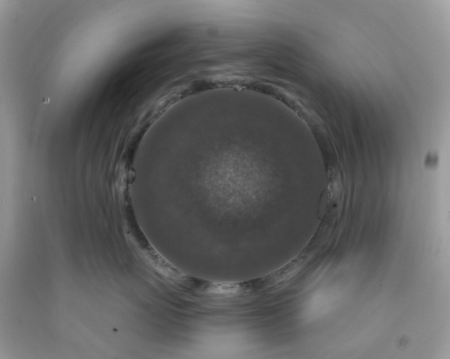 X0000091690767200709061125