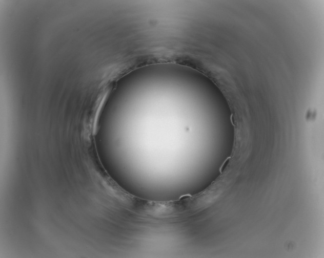 X0000091690768200709061125