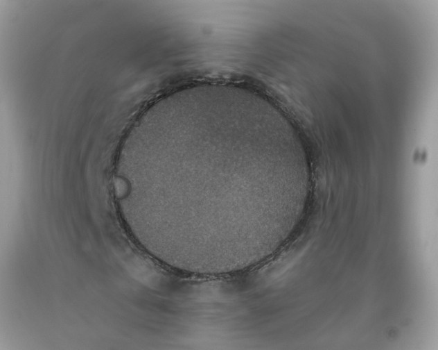 X0000091690769200709061124