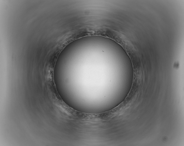 X0000091690770200709061124