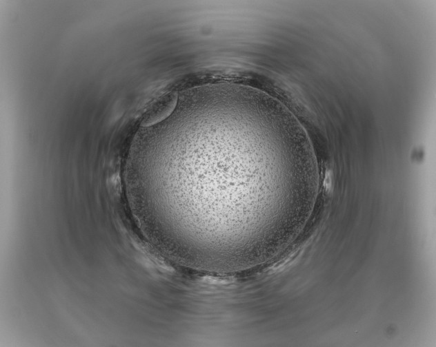 X0000091690771200709061124