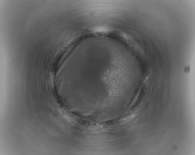 X0000091690772200709061124