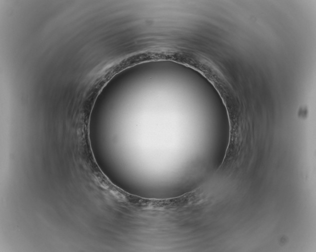 X0000091690773200709061124