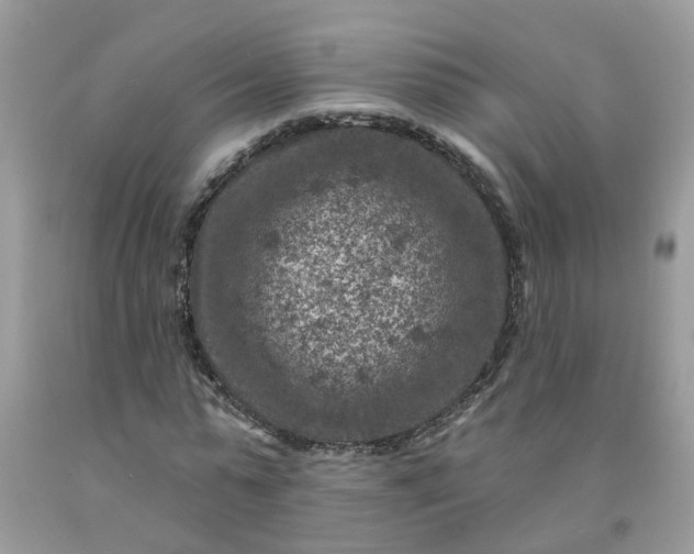 X0000091690775200709061124