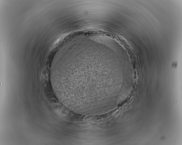 X0000091690776200709061124