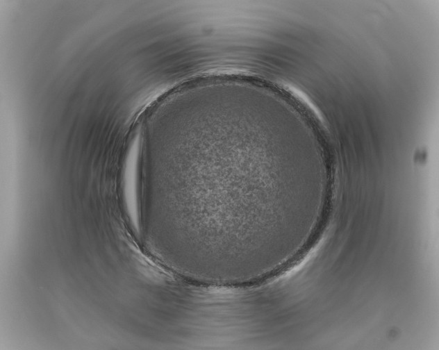 X0000091690777200709061124